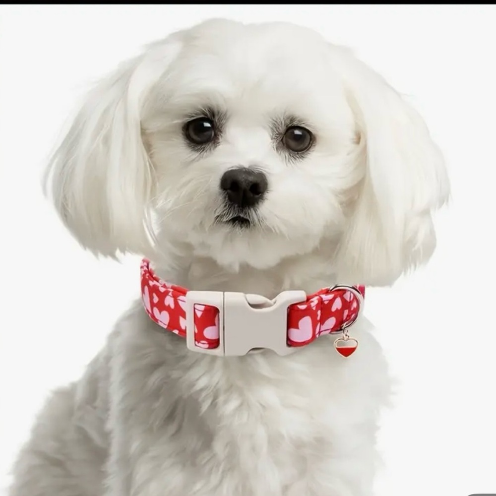 🆕 Red and Pink Heart Dog Collar with metal heart pendant. Quick release buckle. - Picture 5 of 5